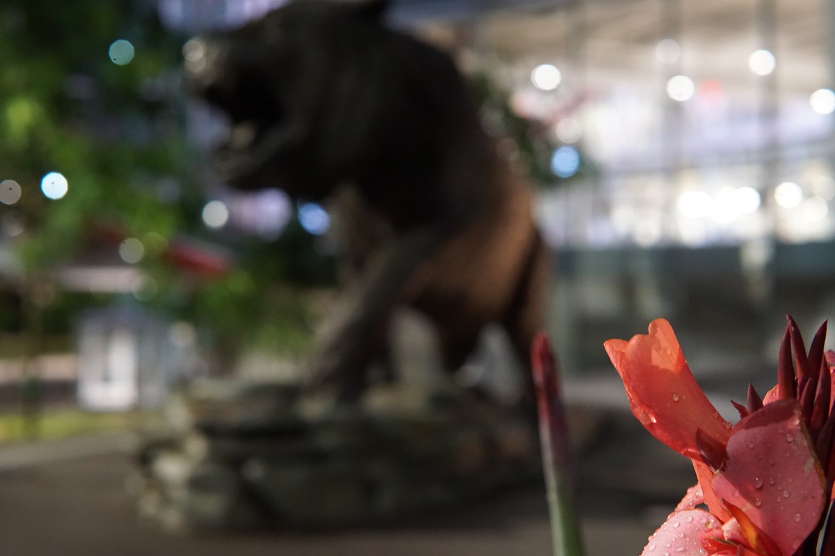 Bronze animal statue blurred behind a red flower