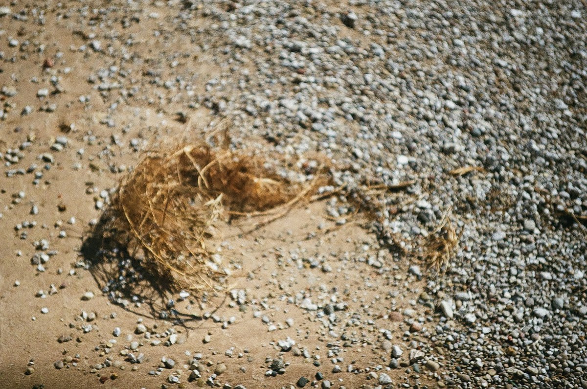 Tumbleweed